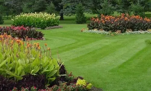 Landscaping Companies