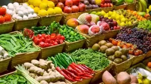 How To Start a Vegetable Business in India