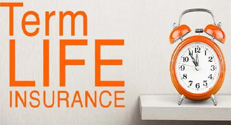 Term Life Insurance Explained: What It Is and How It Works - Businesses ...