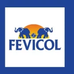 Fevicol