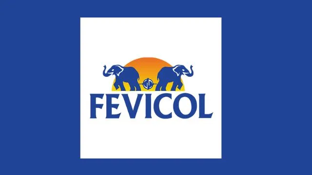 Fevicol