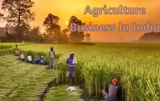 Agriculture Business In India