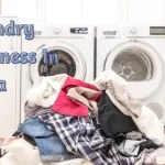 Laundry Business In India