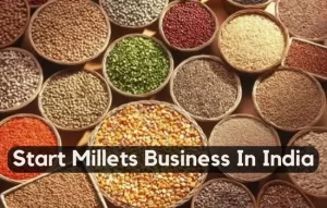 How To Start Millets Business In India