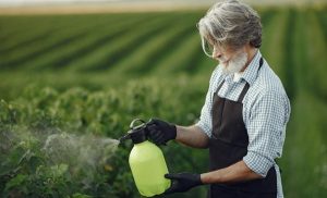 What Every Business Needs to Know About the Consequences of Roundup Lawsuits