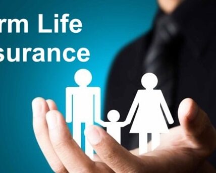 Term Life Insurance