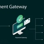 Payment Gateways